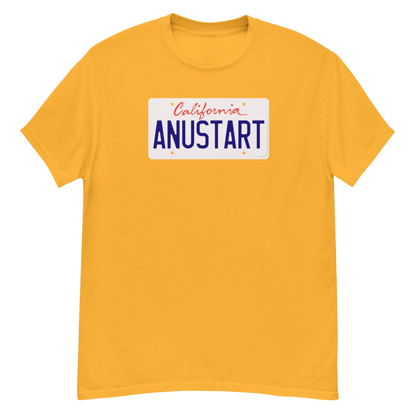 Anustart Minimal License Plate classic tee
