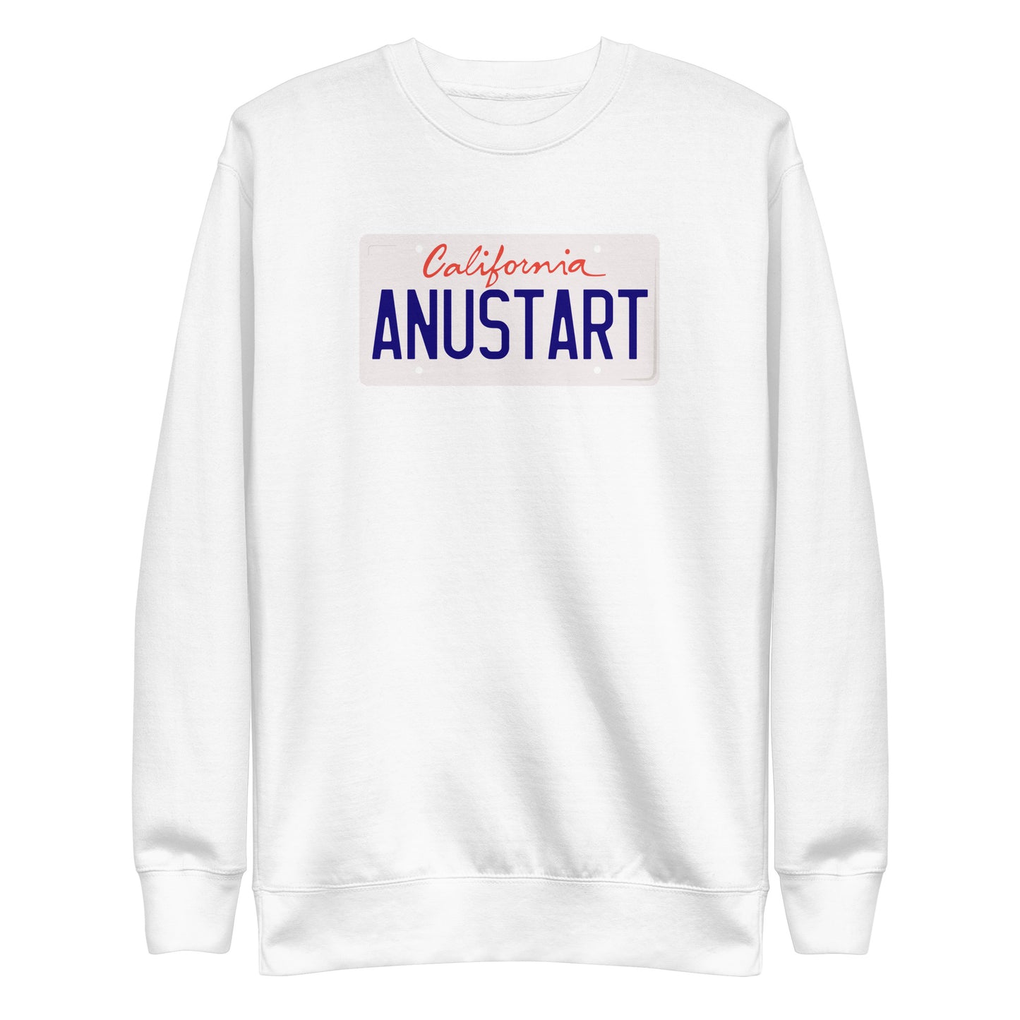 Anustart Minimal License Plate Unisex Premium Sweatshirt
