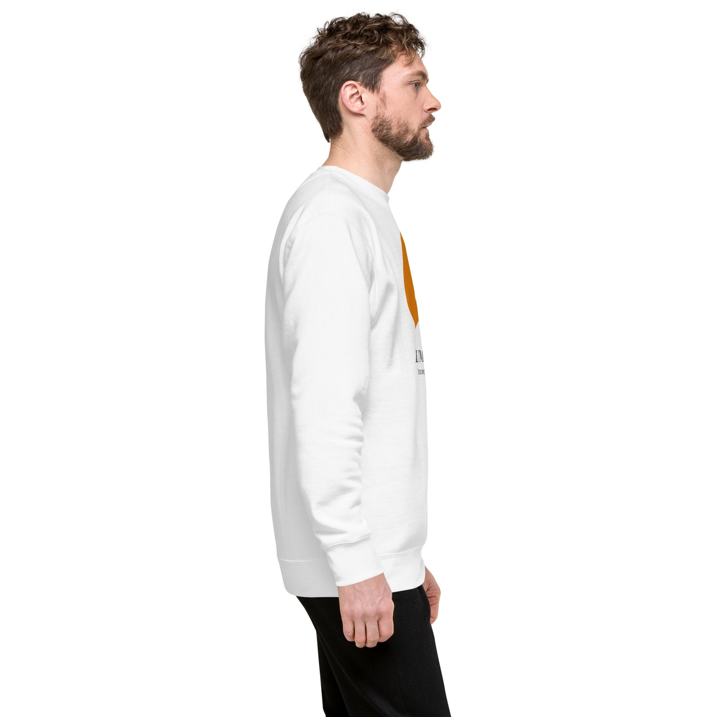 The Human Fund Unisex Premium Sweatshirt