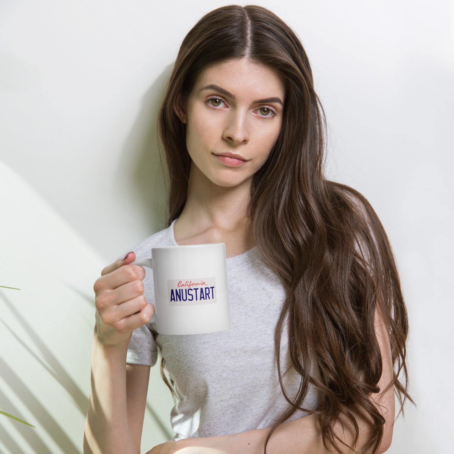 Anustart License Plate White glossy mug