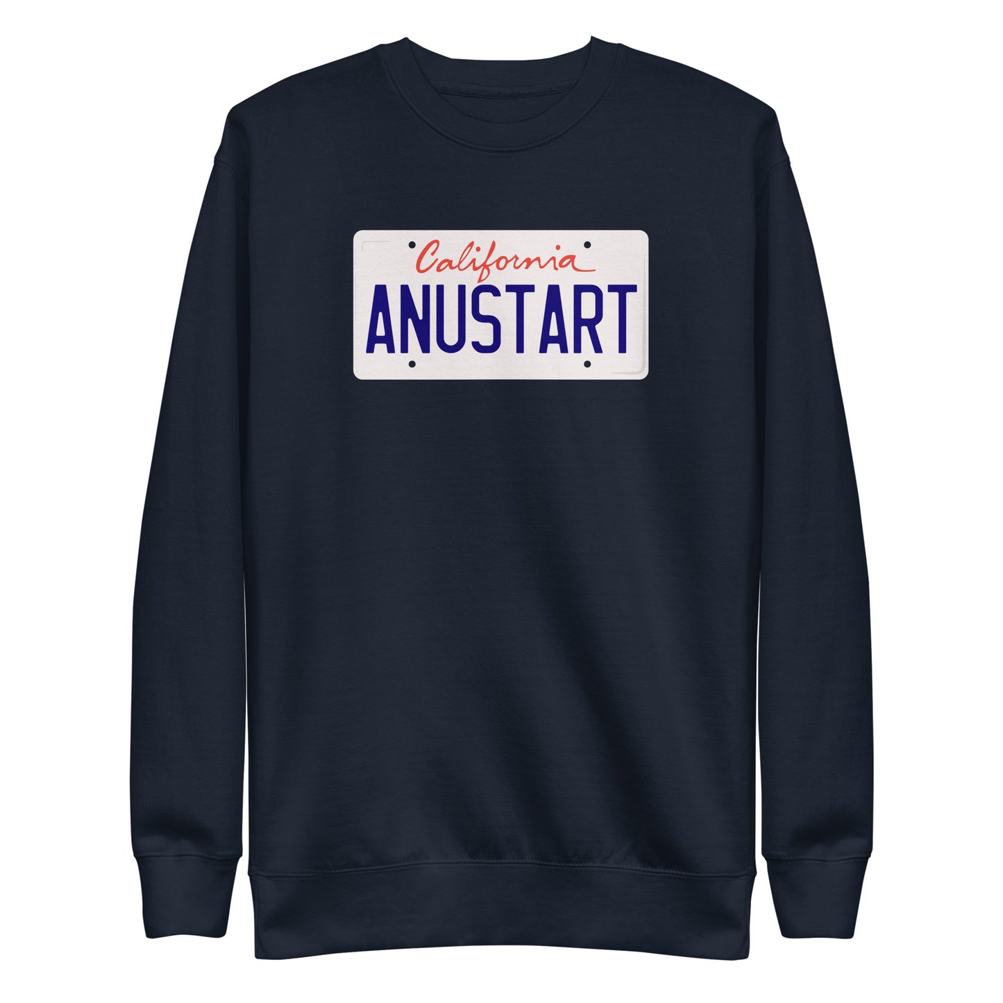 Anustart Minimal License Plate Unisex Premium Sweatshirt
